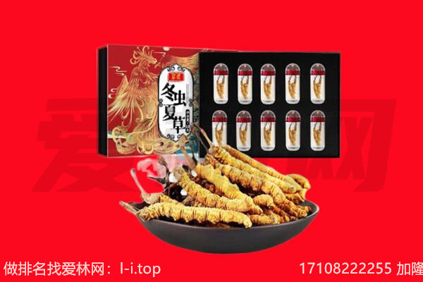 忻州市河曲回收虫草.jpg